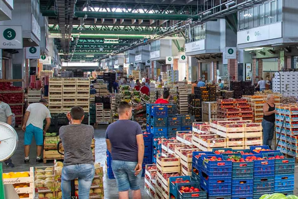 comalca bilancio positivo