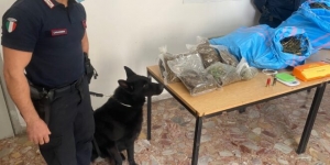 Arresti nel Cosentino per detenzione di droga