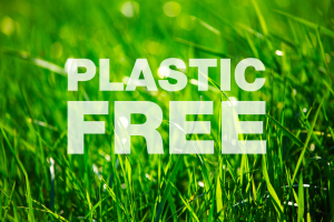 A Palmi, volontari sulla costa e nei fondali. Il 5 settembre giornata ecologica Plastic Free