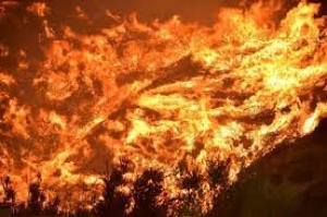 L' ondata di caldo provoca numerosi roghi in Calabria