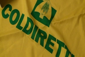 Villaggio Coldiretti, Molinaro: arrivano i ''Sigilli'' di Campagna Amica per salvare la biodiversit&agrave; contadina: ecco quelli calabresi