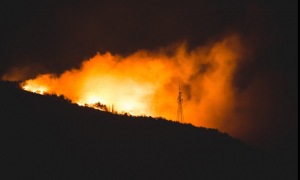 Si alzano le temperature: due incendi nel catanzarese