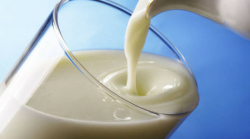 Latte di dubbia provenienza: sequestrate 3,5 tonnellate di formaggi