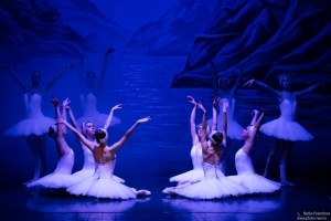 Al Teatro Rendano il Balletto di San Pietroburgo con ''Il Lago dei Cigni''