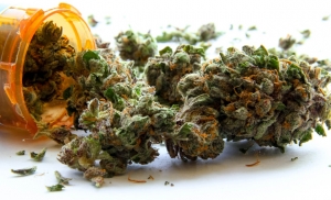 Possedeva marijuana in casa, arrestato 50enne catanzarese