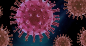 Calabria: 32,3% popolazione vaccinata a ciclo completo