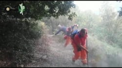 ''Calabria Verde'', il punto sulle forze antincendio in campo dopo la visita del ministro Patuanelli