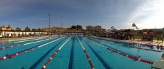 Gran Prix Categoria Nuoto estivo 2017