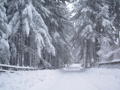 Freddo in Calabria, neve e temperature sotto lo zero