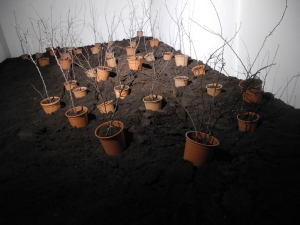 Inaugurata al Museo Marca la mostra di Maria Luigia Gioffr&egrave; ''Memorie di un giardino''