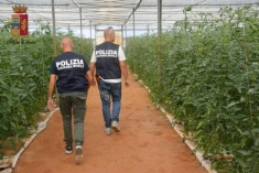 Caporalato: controlli in tutto il Sud