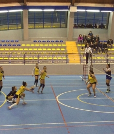 Lapietra, si sbloccano i leoni della serie C, a farne le spese la Provolley