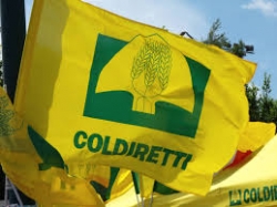 Mega...lottiamo: Coldiretti manifesta contro gli sprechi del Terzo Megalotto