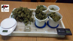 Trovato con 400 gr marijuana, arrestato