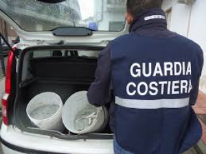 Sequestrati oltre 800 kg prodotto ittico nel cosentino