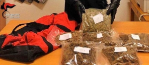Oltre 14 kg di marijuana trovati dai Cc nel Reggino
