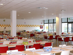 Mensa scolastica a Catanzaro: Costanzo (FI) chiede verifiche urgenti
