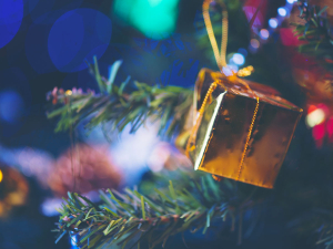 Bisignano, grande attesa per l&rsquo;evento ''Delizie sotto l&rsquo;albero''