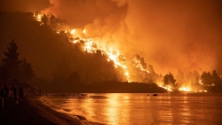 Incendi: Regione aderisce a raccolta fondi per aziende agricole area grecanica