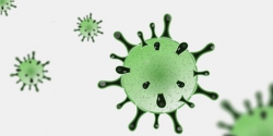 Covid-19: nessun nuovo contagio a Catanzaro