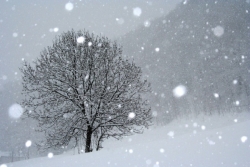 Maltempo: forti disagi causati dalle nevicate in Calabria