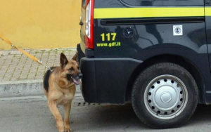 Viaggiava su un bus con 3 kg di marijuana, arrestato a Catanzaro