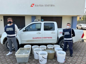 Guardia costiera sequestra 330 kg di prodotto ittico