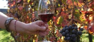 Lo stand di Cir&ograve; alla Fiera dell&rsquo;agricoltura e dell&rsquo;alimentazione di Montalto