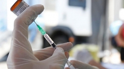 Vaccino anti Covid, Gimbe: in Calabria il 68,1% della popolazione ha completato ciclo
