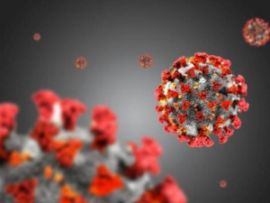 Covid in Calabria, pi&ugrave; di 500 casi nel bollettino odierno