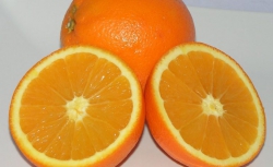 Calabria: arance e clementine spopolano al nord