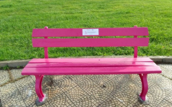 Prevenzione tumore al seno, oggi a Rende l&rsquo;inaugurazione della panchina rosa