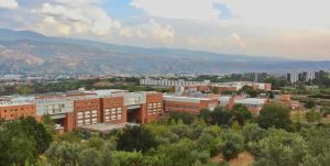 Unical, 89 docenti tra i migliori ricercatori al mondo