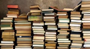 La biblioteca Frassati di Crotone si rinnova con l'arrivo di nuovi libri