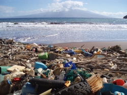 Marine Strategy: Monitoraggio rifiuti spiaggiati, strumento per sensibilizzare la collettivit&agrave;