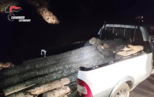 Rubati quintali di legna, arrestato 50enne nel catanzarese