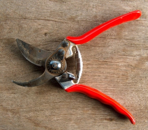 Trovato morto in campagna, cesoie conficcate nel collo. Indagini in corso