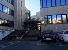 Rinnovo cariche Direttivo Camera Minorile Catanzaro