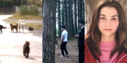 Arrestato il proprietario dei cani che uccisero Simona Cavallaro, giovane del soveratese