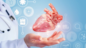 Tecnologie avanzate in Cardiochirurgia, incontro con la stampa per illustrare le attivit&agrave; didattiche presentato dal Prof. Pasquale Mastroroberto