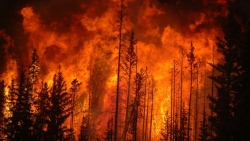Situazione emergenziale lotta agli incendi boschivi. Il commissario straordinario, Giuseppe Oliva, attiva il personale di cantiere per le attivit&agrave; di bonifica