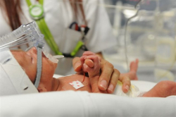 Al Pugliese-Ciaccio medici e infermieri approfondiscono le tecniche di rianimazione in sala parto