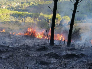 Lotta agli incendi, laddove le istituzioni funzionano bene il volontariato rende di pi&ugrave;