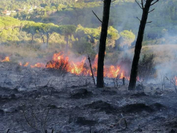 Lotta agli incendi, laddove le istituzioni funzionano bene il volontariato rende di pi&ugrave;