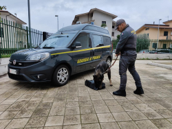 Cosenza, droga in auto. Un arresto