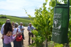 Umbriatico, &ldquo;CantineAperte&rdquo; in piazza a Perticaro
