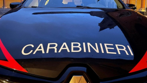 ''Mi hai avvelenato i cani'' e gli spara, grave 63enne nel catanzarese