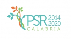 Nuovo bando del PSR Calabria a sostegno delle start-up innovative in ambito extra -agricolo