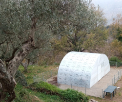 L'agricoltura come strumento di inclusione socio-lavorativa con il progetto del Centro Calabrese di solidariet&agrave; Ets ''Sgusciatə''