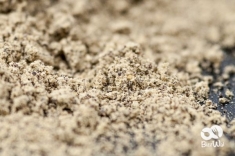 Il 10 giugno il mercatino dei prodotti biologici derivati dalla canapa